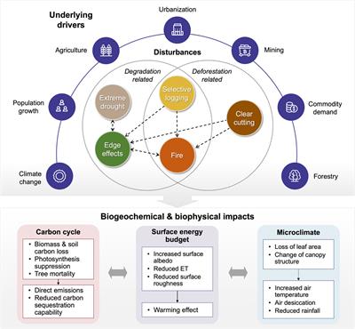 Recent advances and challenges in monitoring and modeling of disturbances in tropical moist forests